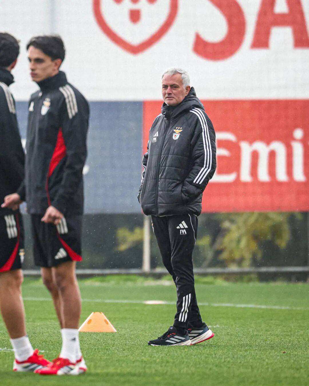 荷甲今夜走向成谜；本菲卡再遭质疑；压力陡增；细节决定成败的简单介绍