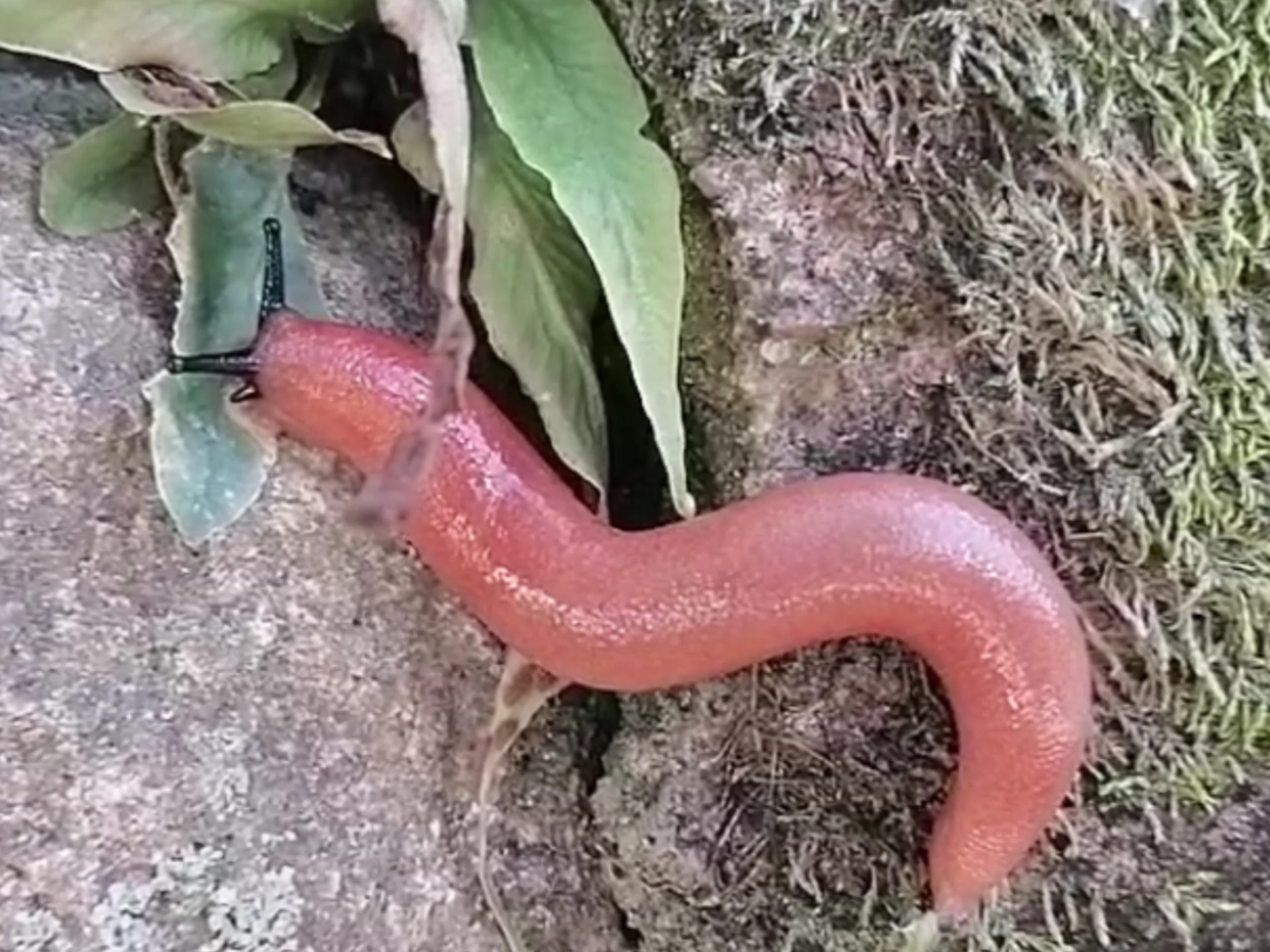 鋛?ュ?蟶h!??qM坃J~蜢獛`??!,QF}礕蝞蓙P??廝e嚓蜅^塄撨ㄛ蕦?戁D#H?X>?8	鶾$峫ノ囄适!ヒ史x"偦u1X贜锛?抆O5?	_歈5U"Qy馯o!抔换挷r??聡??Tm(badl和iadl)-九游体育